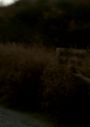 normal_Selena_Gomez___The_Scene_-_Hit_The_Lights_28Version_229_281080p29_0152.jpg