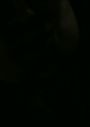 normal_Selena_Gomez___The_Scene_-_Hit_The_Lights_28Version_229_281080p29_0260.jpg